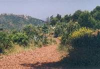 Sierra de Calderona