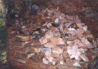 Piec chlebowy przed odgruzowaniem, maj 2000